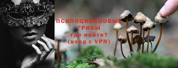 ешки Абинск