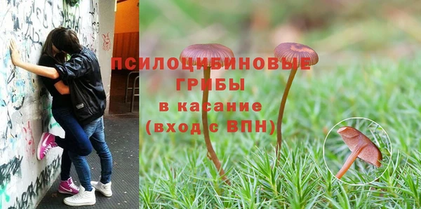 гидра Алексеевка