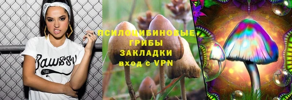 мяу мяу мука Алексин