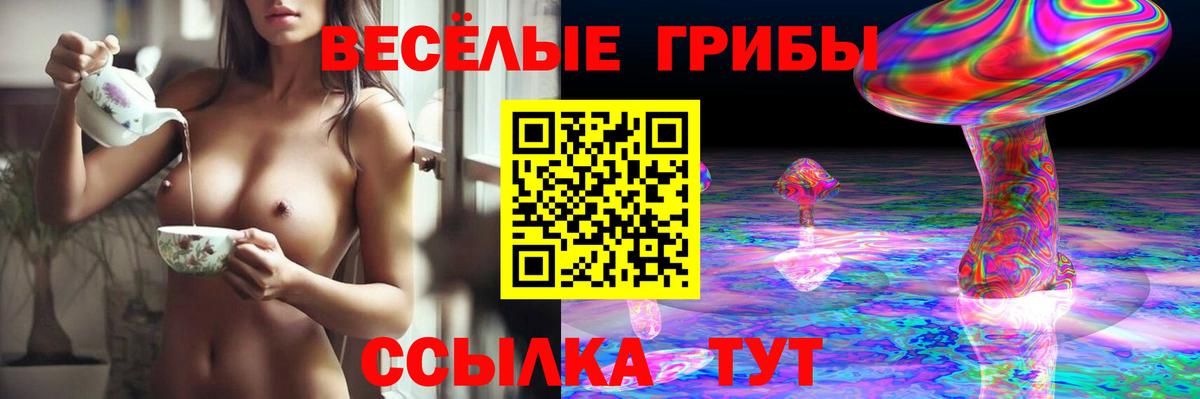 Узловая  Галлюциногенные грибы мицелий  Вход с VPN 